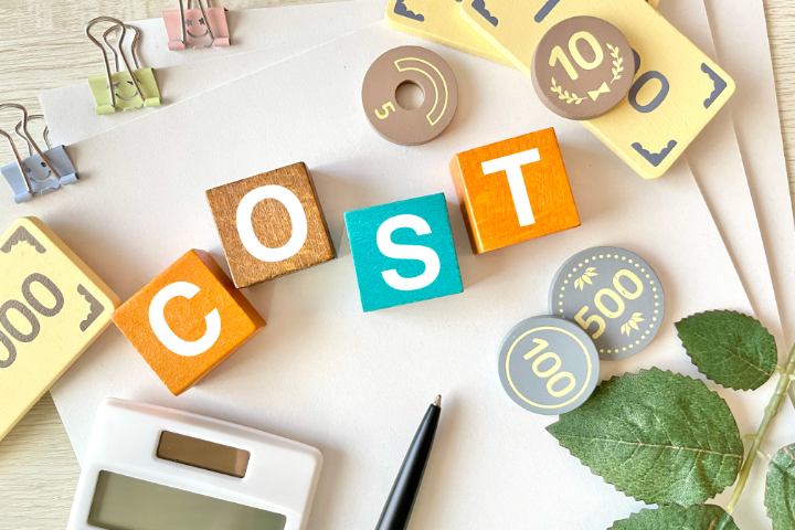 プレオルソの費用